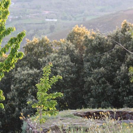 O Bilho Bed & Breakfast Vinhais Bagian luar foto