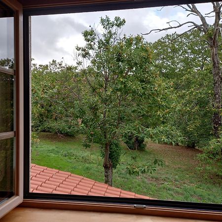 O Bilho Bed & Breakfast Vinhais Bagian luar foto