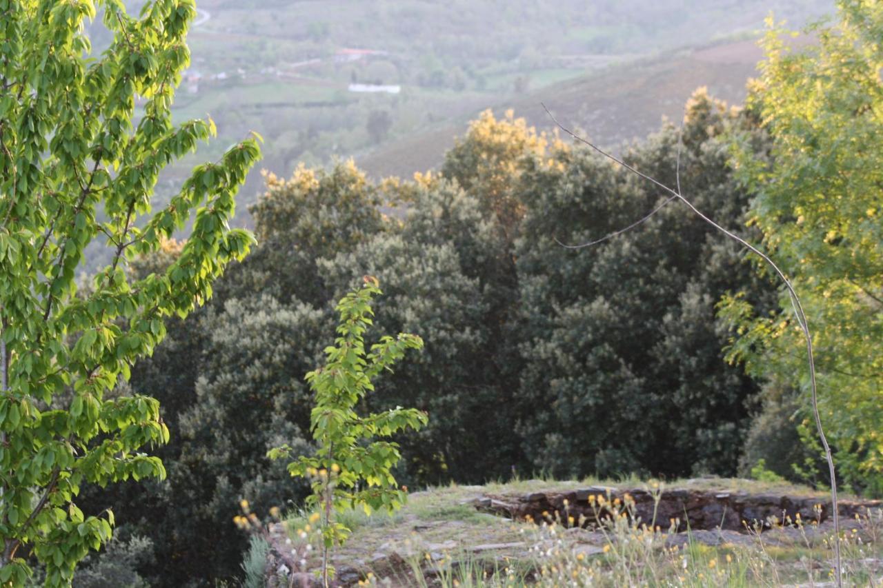 O Bilho Bed & Breakfast Vinhais Bagian luar foto