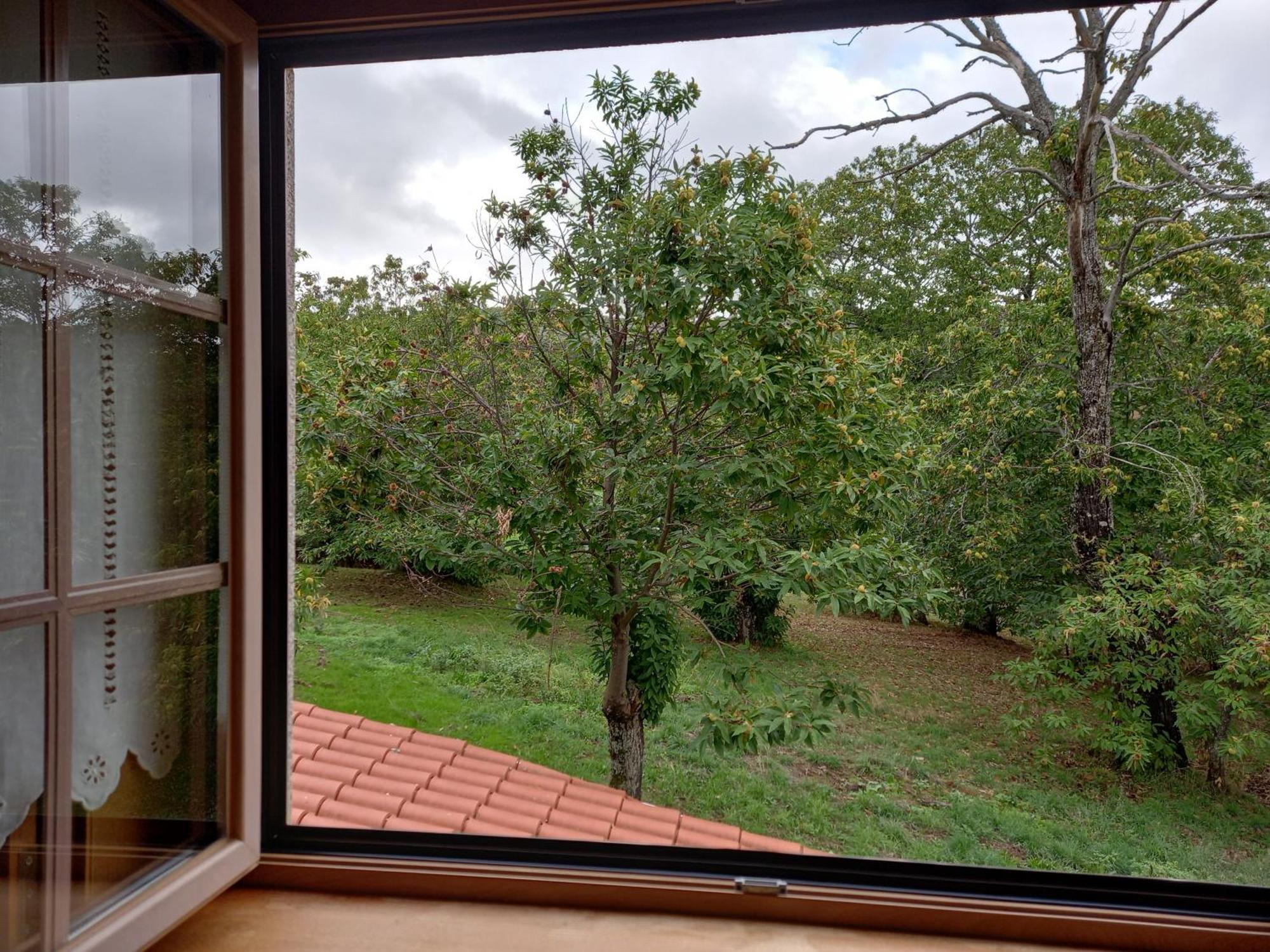 O Bilho Bed & Breakfast Vinhais Bagian luar foto